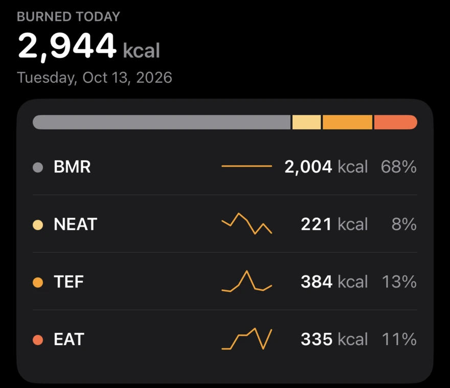 The Burn screen: 2,944 kcal burned today, made of BMR 2,004, NEAT 221, TEF 384 and EAT 335